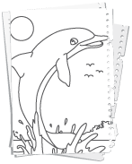Delfin